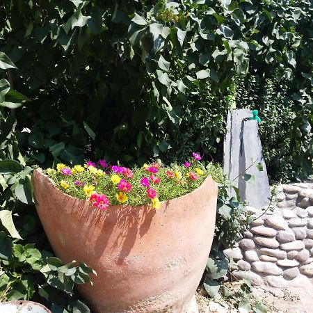 Areni Tavern-B&B Екстер'єр фото