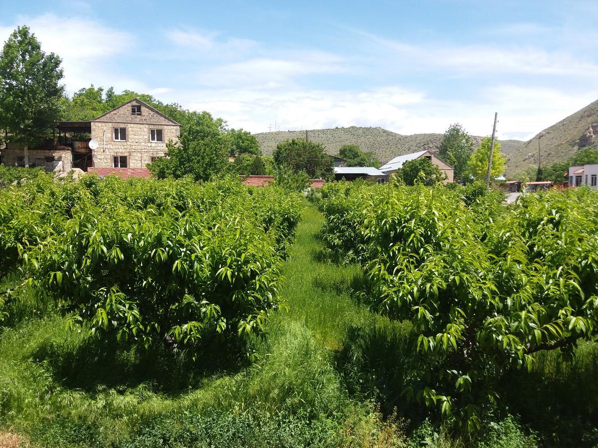 Areni Tavern-B&B Екстер'єр фото